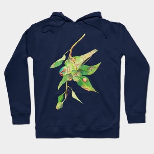 Musk lorikeet and gumtree branch with gumnuts watercolour painting Hoodie